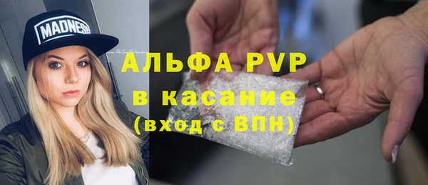 прущие грибы Медвежьегорск