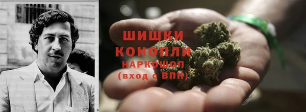 дмт Мегион