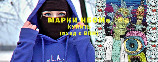 прущие грибы Медвежьегорск