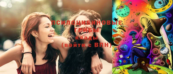 прущие грибы Медвежьегорск