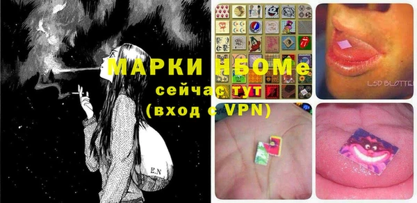 прущие грибы Медвежьегорск
